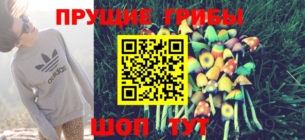 Галлюциногенные грибы мухоморы  Вход с VPN  Амурск 