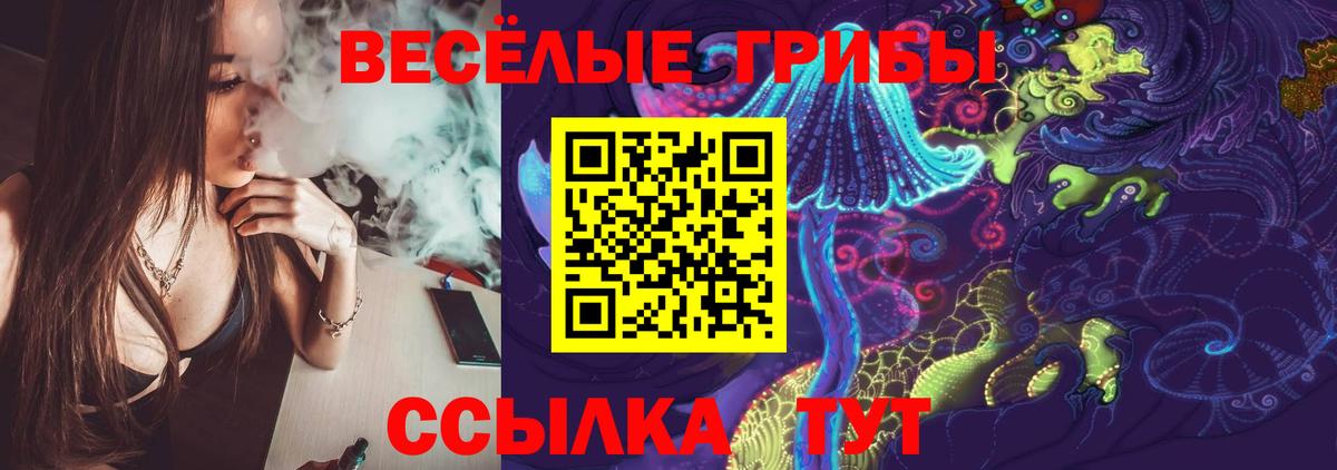 Галлюциногенные грибы Psilocybe Амурск